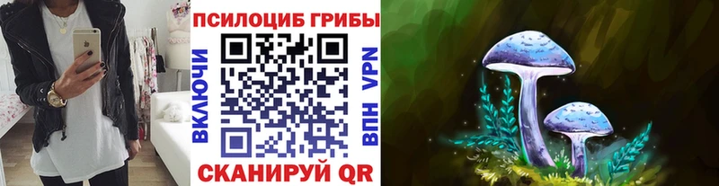 Псилоцибиновые грибы ЛСД  Купить  Наволоки 